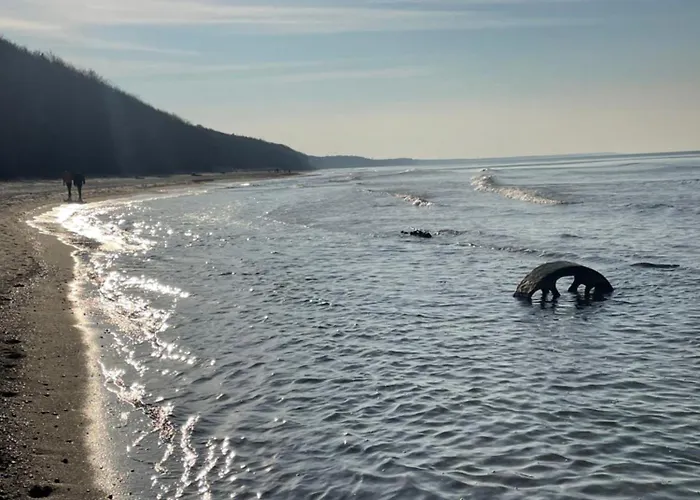 Riviera Z Balkonem 公寓 Poddąbie